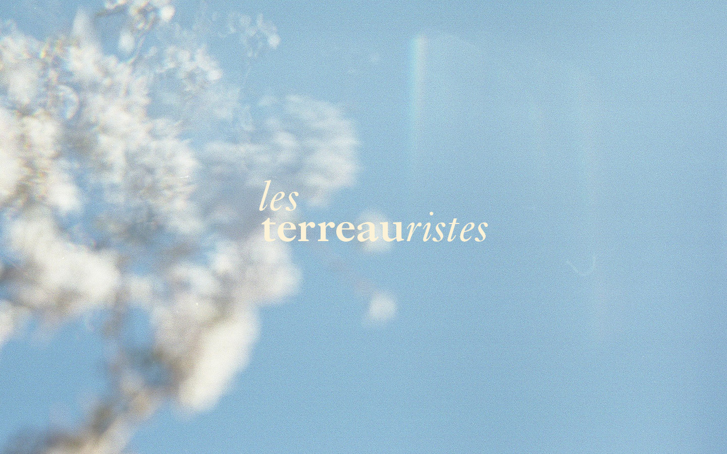 terreauristes_rennes_branding